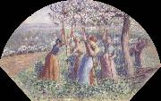 Camille Pissarro Peasant Women Placing pea-Sticks in the Ground oil painting picture wholesale